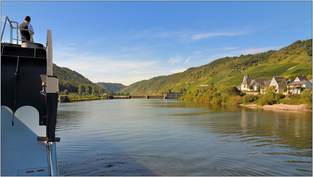 ... Im Herbst an der Mosel #16 ...