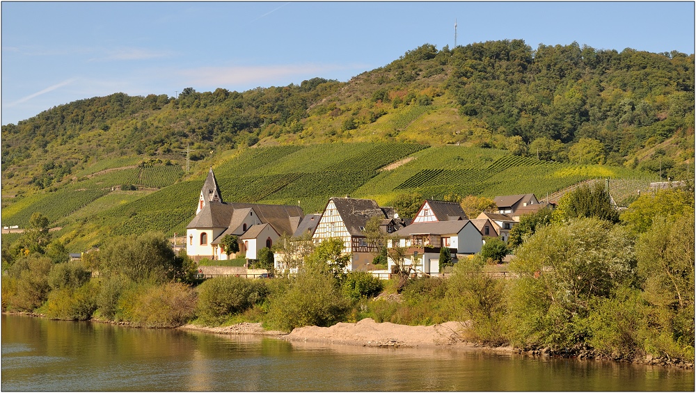 ... Im Herbst an der Mosel #17 ...