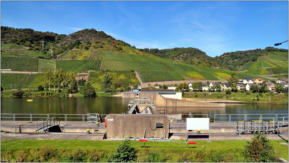 ... Im Herbst an der Mosel #23 ...