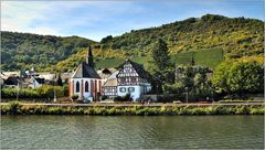 ... Im Herbst an der Mosel #26 ...