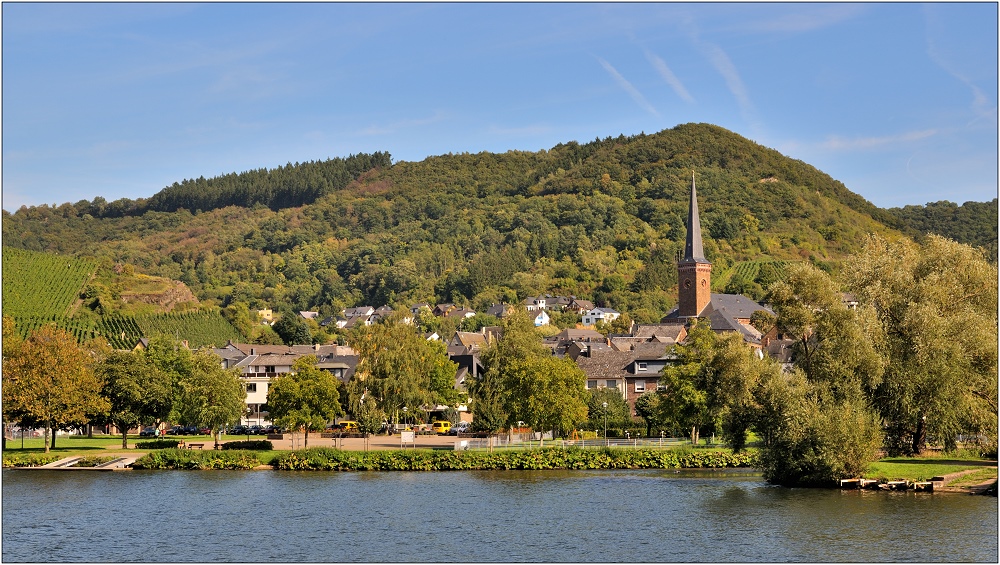 ... Im Herbst an der Mosel #29 ...