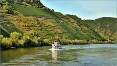 ... Im Herbst an der Mosel #35 ...