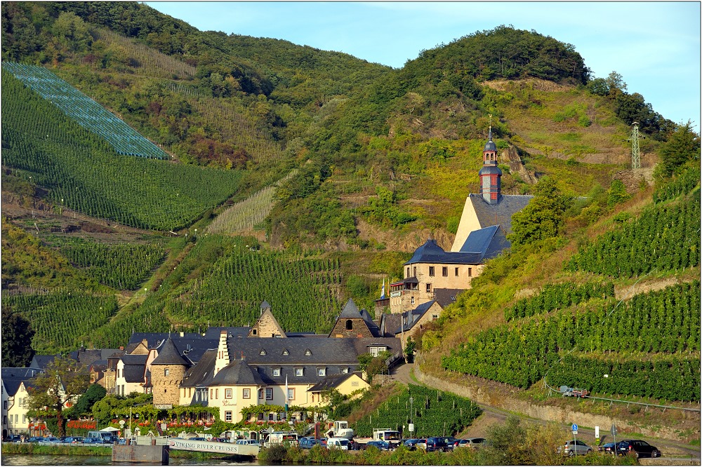 ... Im Herbst an der Mosel #41 ...