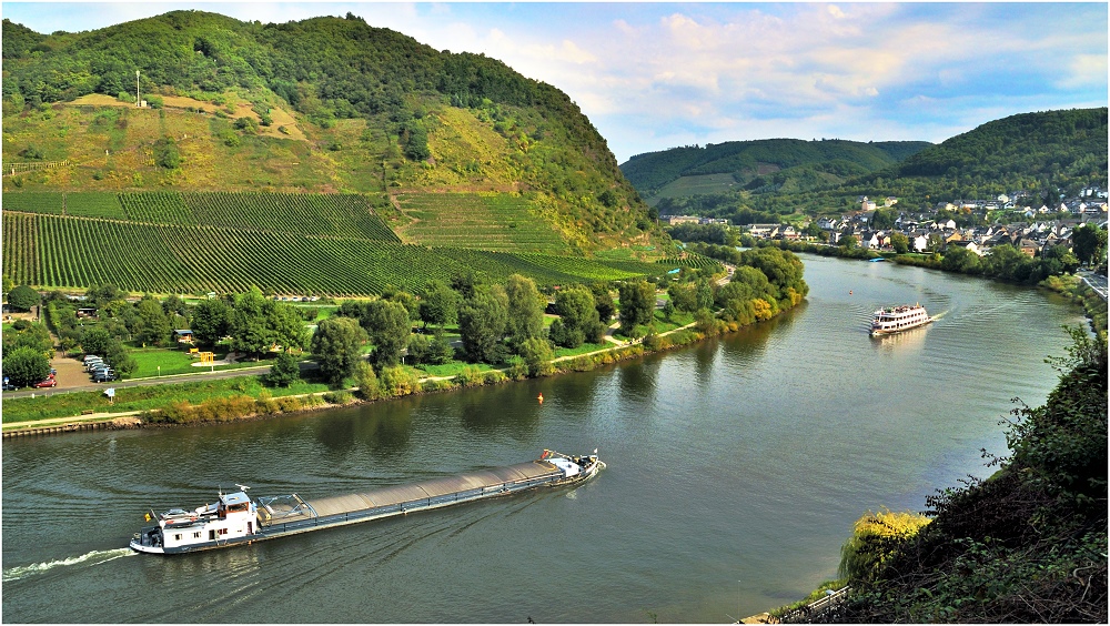 ... im Herbst an der Mosel #95 ...