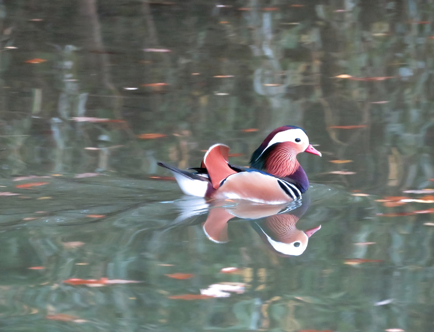 im Herbst auf dem Badesee ... 