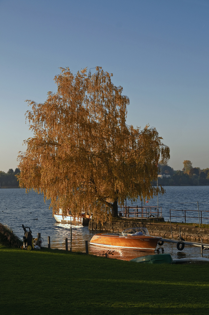 ...im Herbst auf der Fraueninsel (Chiemsee)