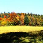 Im Herbst beim Jexhof