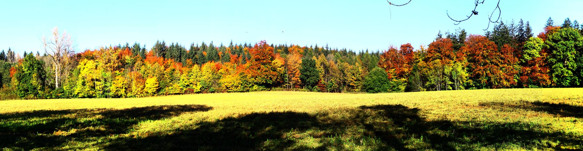 Im Herbst beim Jexhof