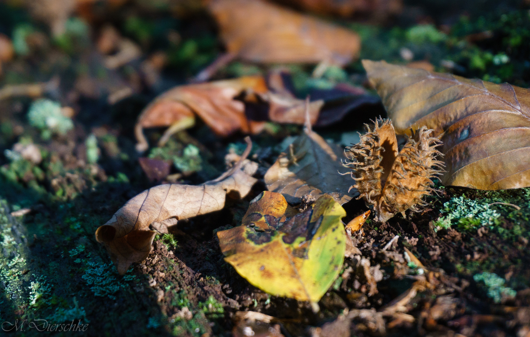 Im Herbst