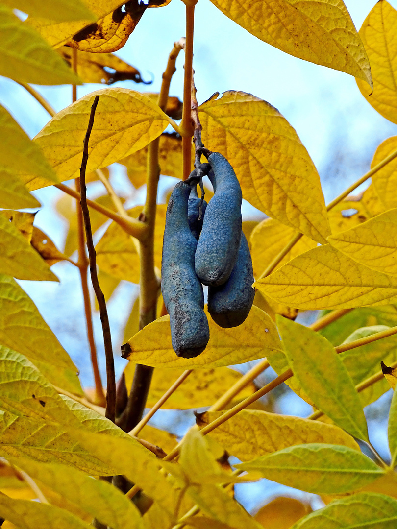 Im Herbst