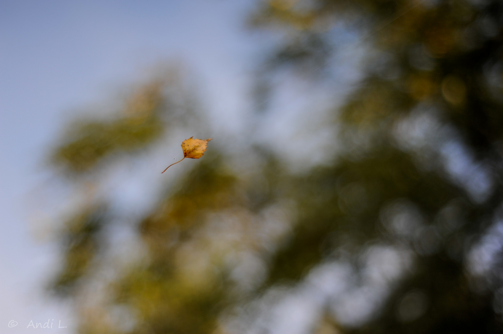 ...im HERBST, da fallen die Blätter....