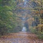 Im Herbst da fallen die Blätter