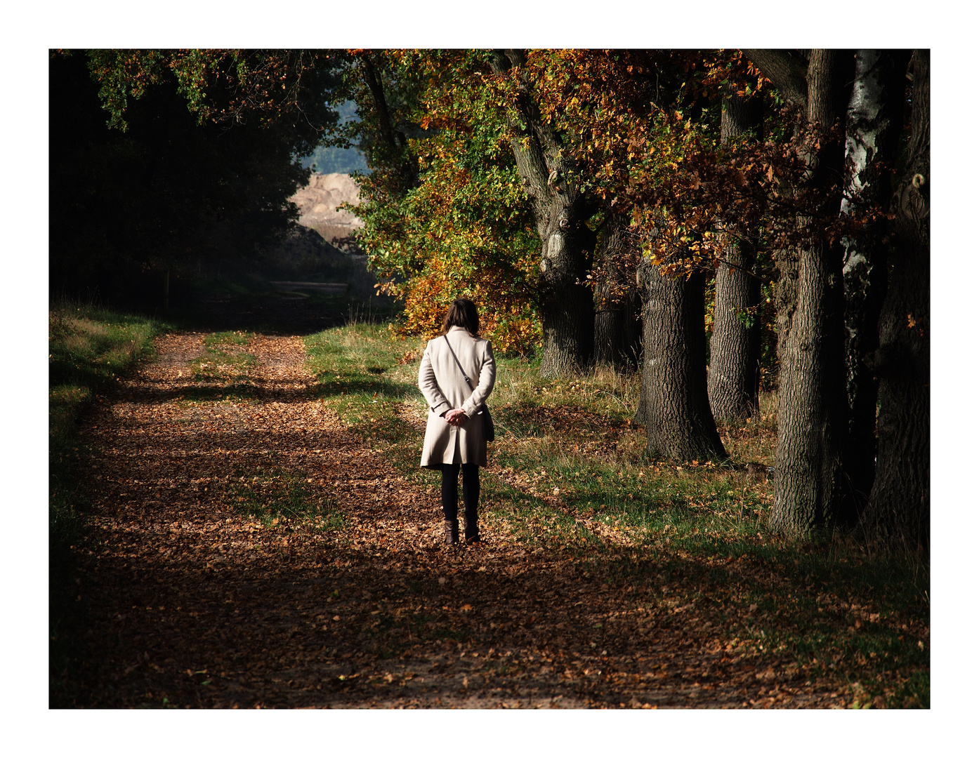 Im Herbst des Lebens