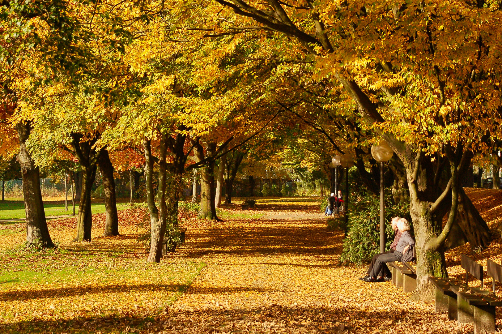 Im Herbst des Lebens