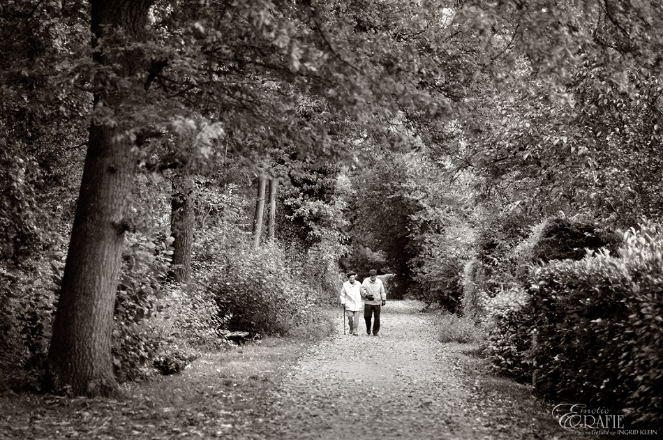 Im Herbst des Lebens