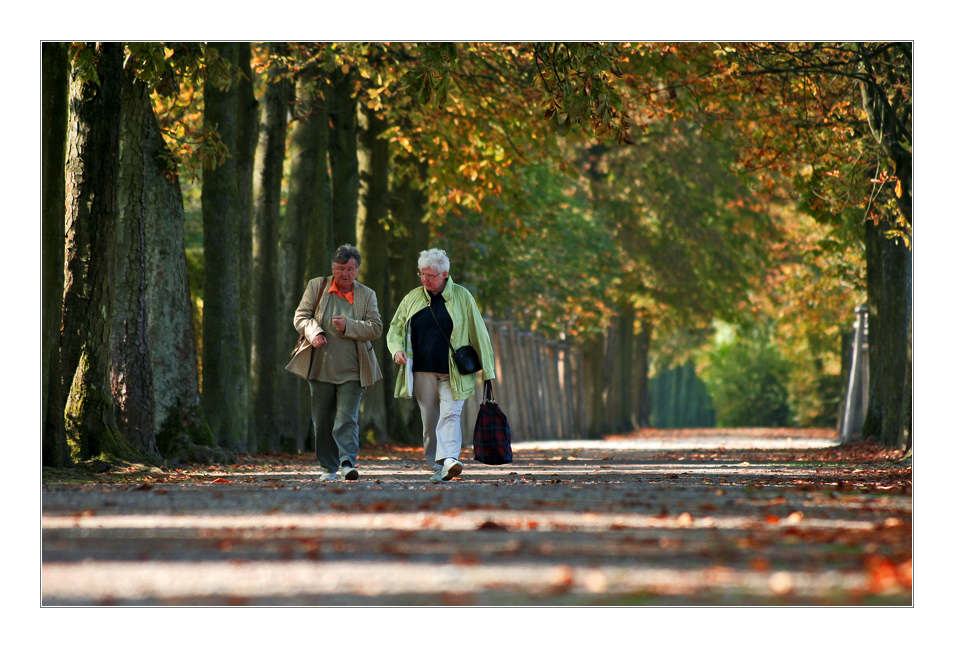 Im Herbst des Lebens