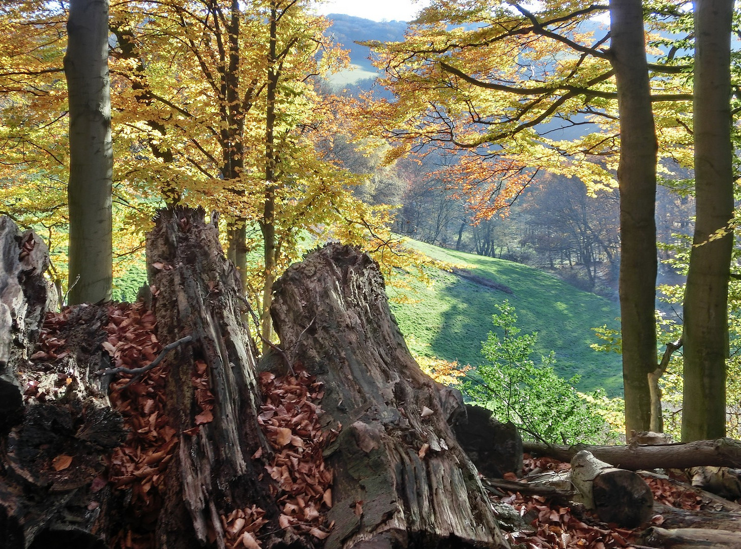 Im Herbst dominiert die Vergangenheit