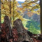 Im Herbst dominiert die Vergangenheit