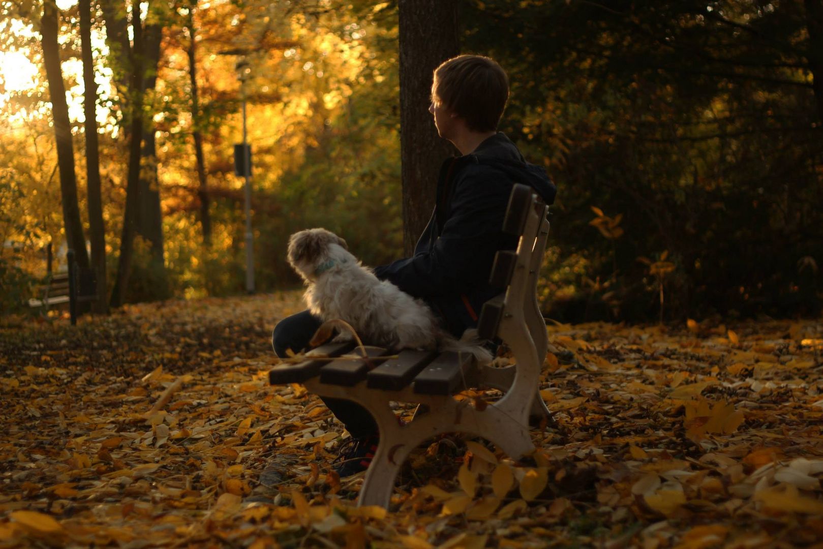 Im Herbst