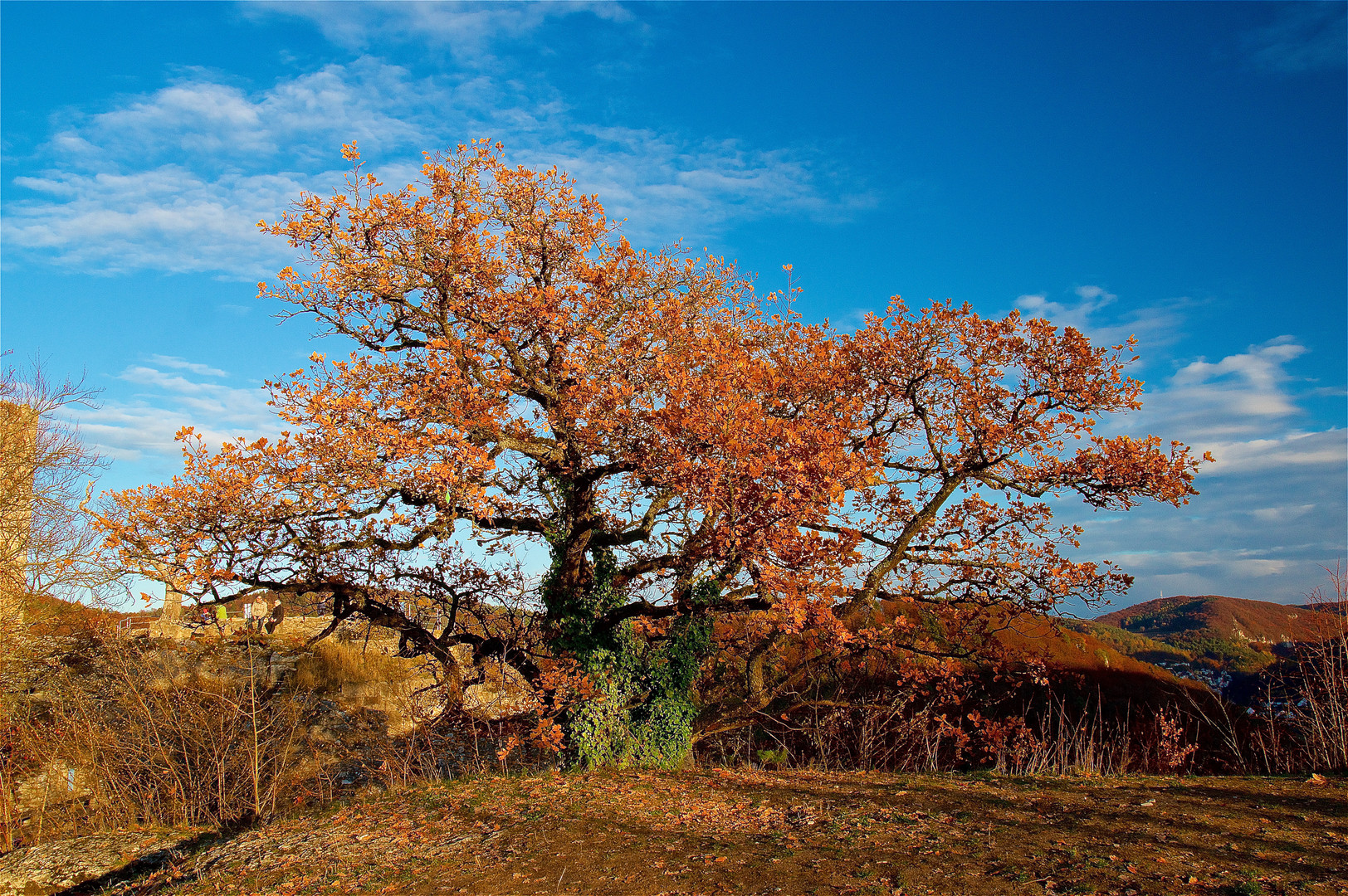 Im Herbst