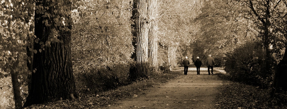 Im Herbst im Herbst des Lebens.