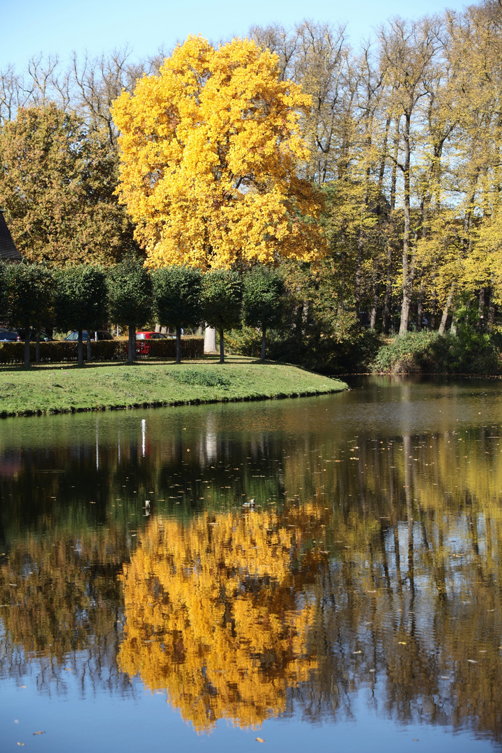 Im Herbst ist manches doppelt schön