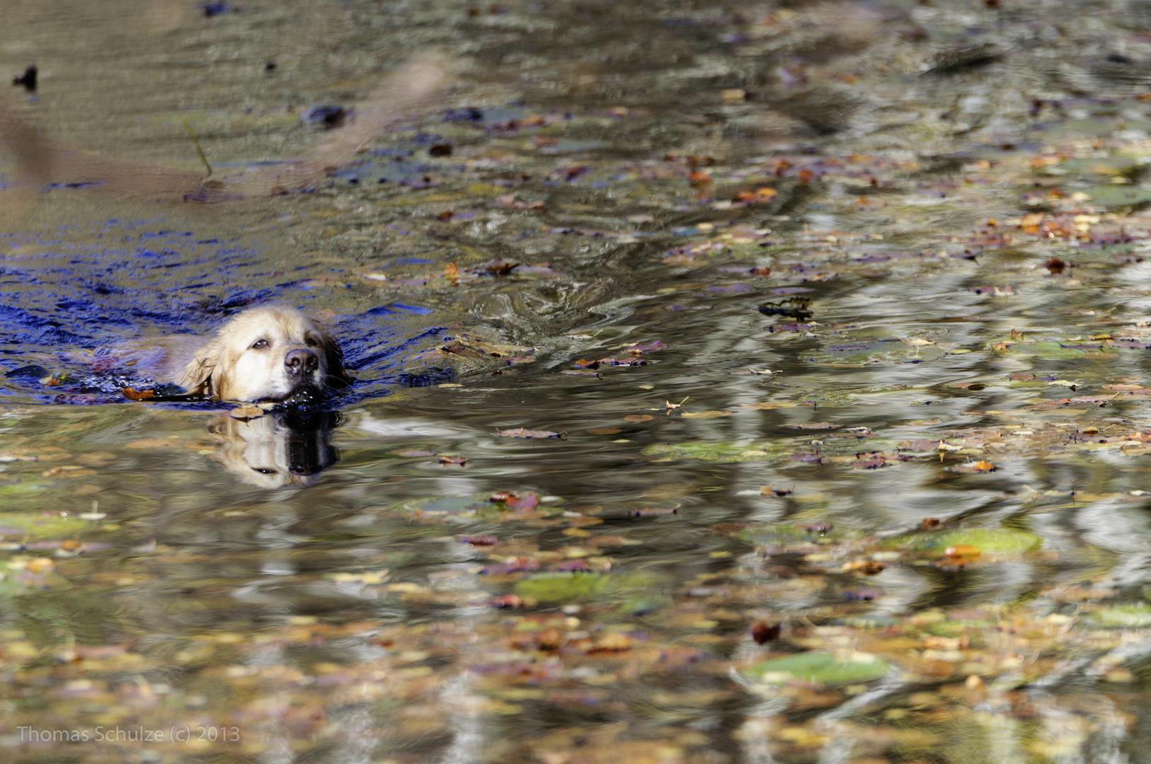 Im Herbst ist noch schönes Badewetter