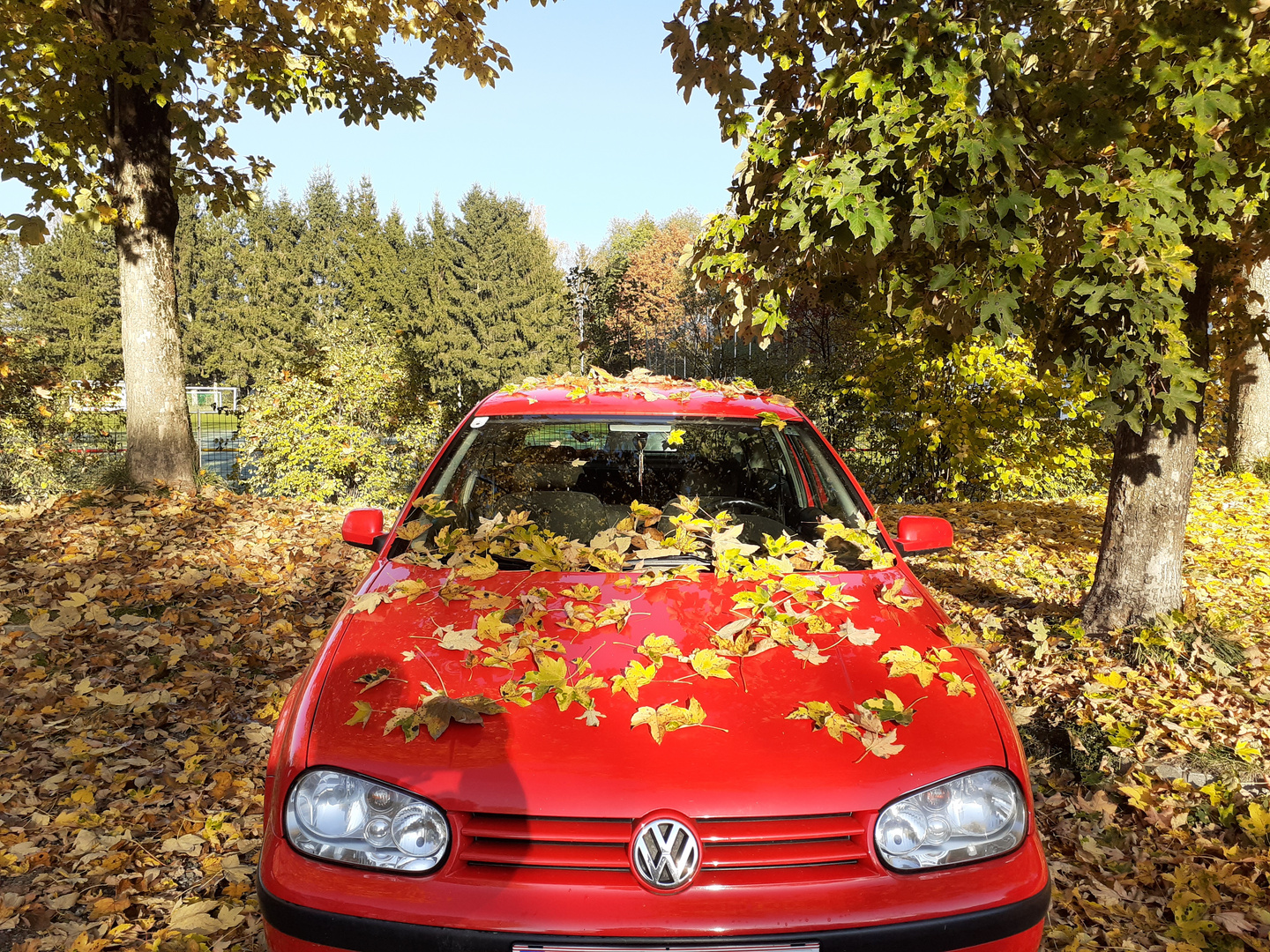 Im Herbst ist sogar ein Volkswagen schön....