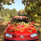 Im Herbst ist sogar ein Volkswagen schön....
