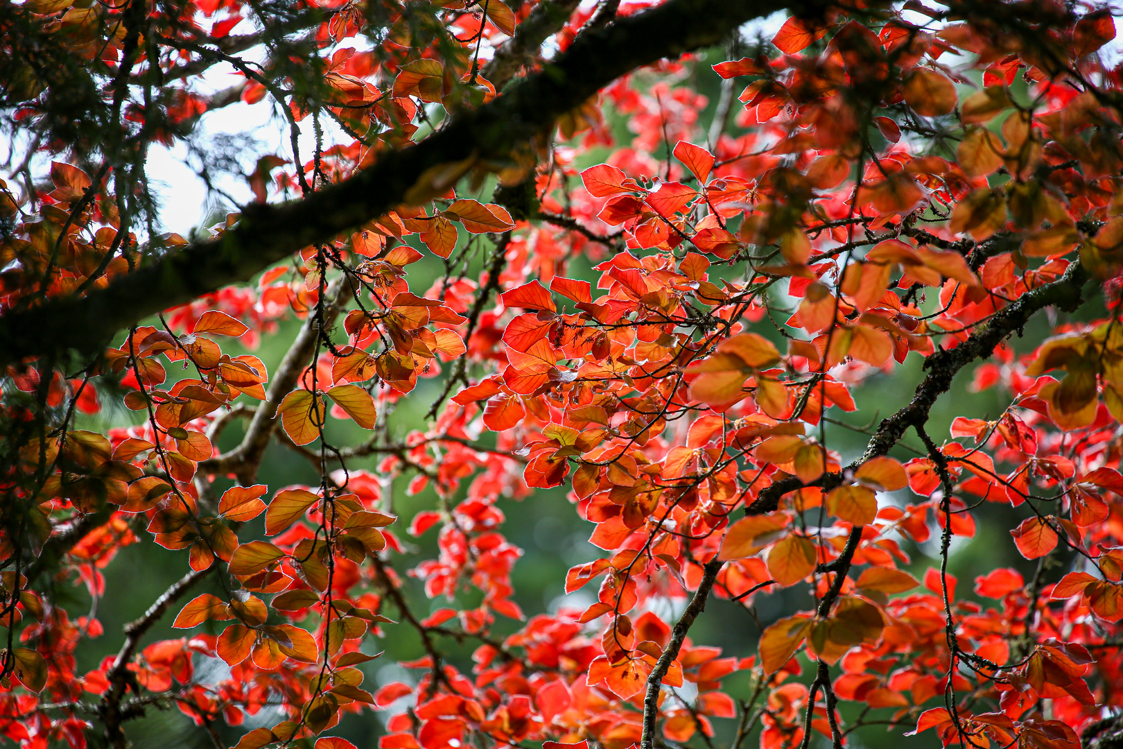 Im Herbst nach Neuseeland