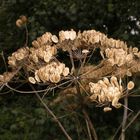 Im Herbst noch schöner