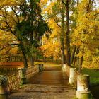 Im herbst park