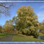 Im Herbst schon schön,....................