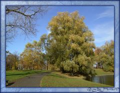 Im Herbst schon schön,....................