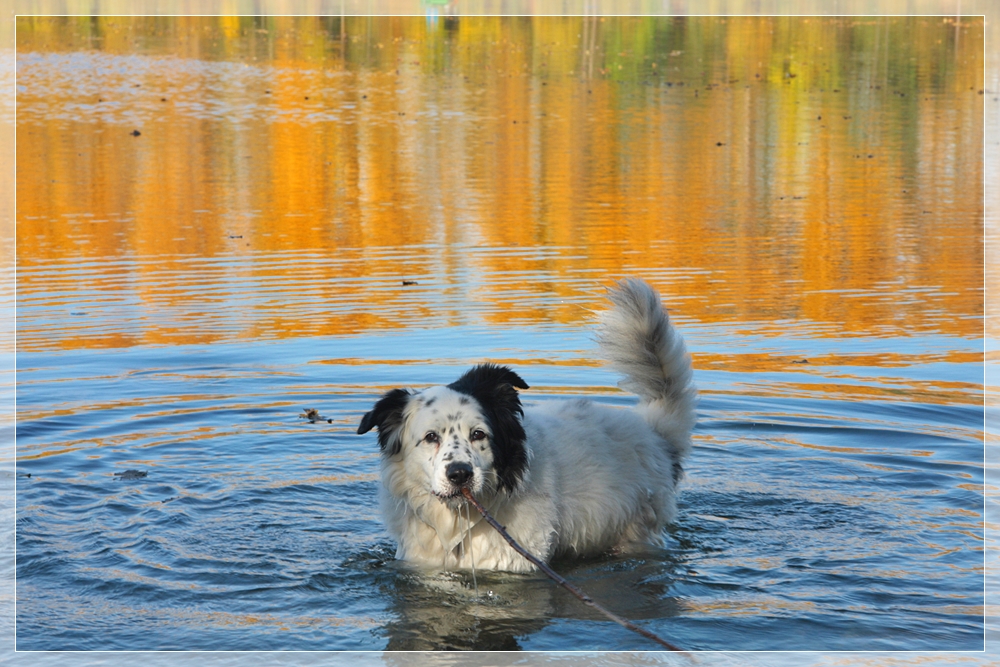 Im Herbst seines Lebens