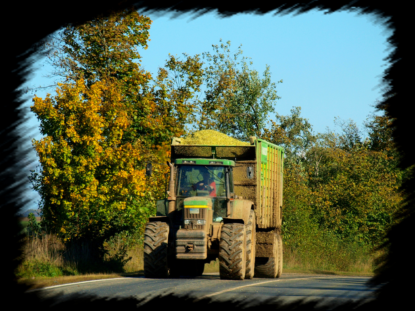 Im Herbst sind alle aktiv