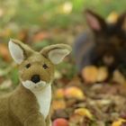 Im Herbst unter Obstbäumen bei den Bartkaninchen und dem Känguru