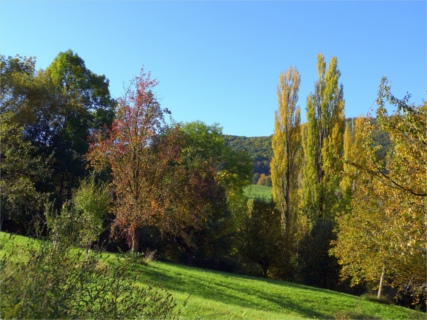 Im Herbst unterwegs...