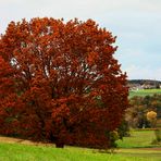 Im Herbst verändert sich....