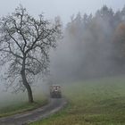 im Herbst, wenn der Bauer den Mist ausbringt