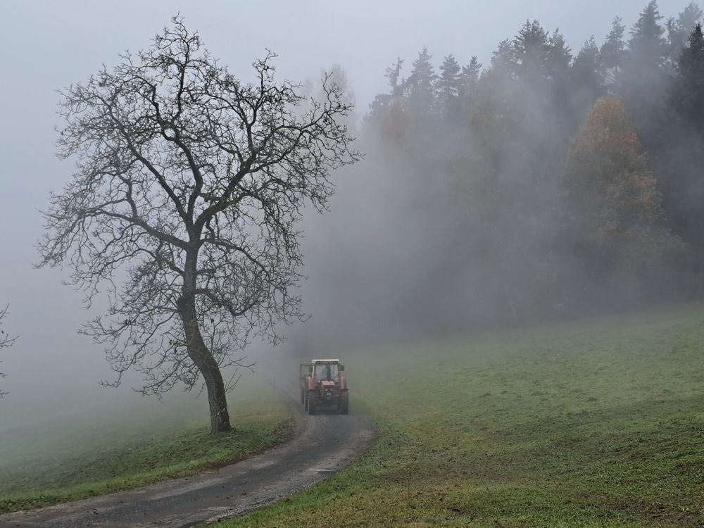 im Herbst, wenn der Bauer den Mist ausbringt