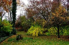 Im Herbstgarten ...