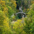 im Herbstgewand