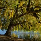 Im Herbstkleid