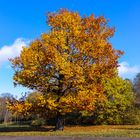 Im Herbstkleid