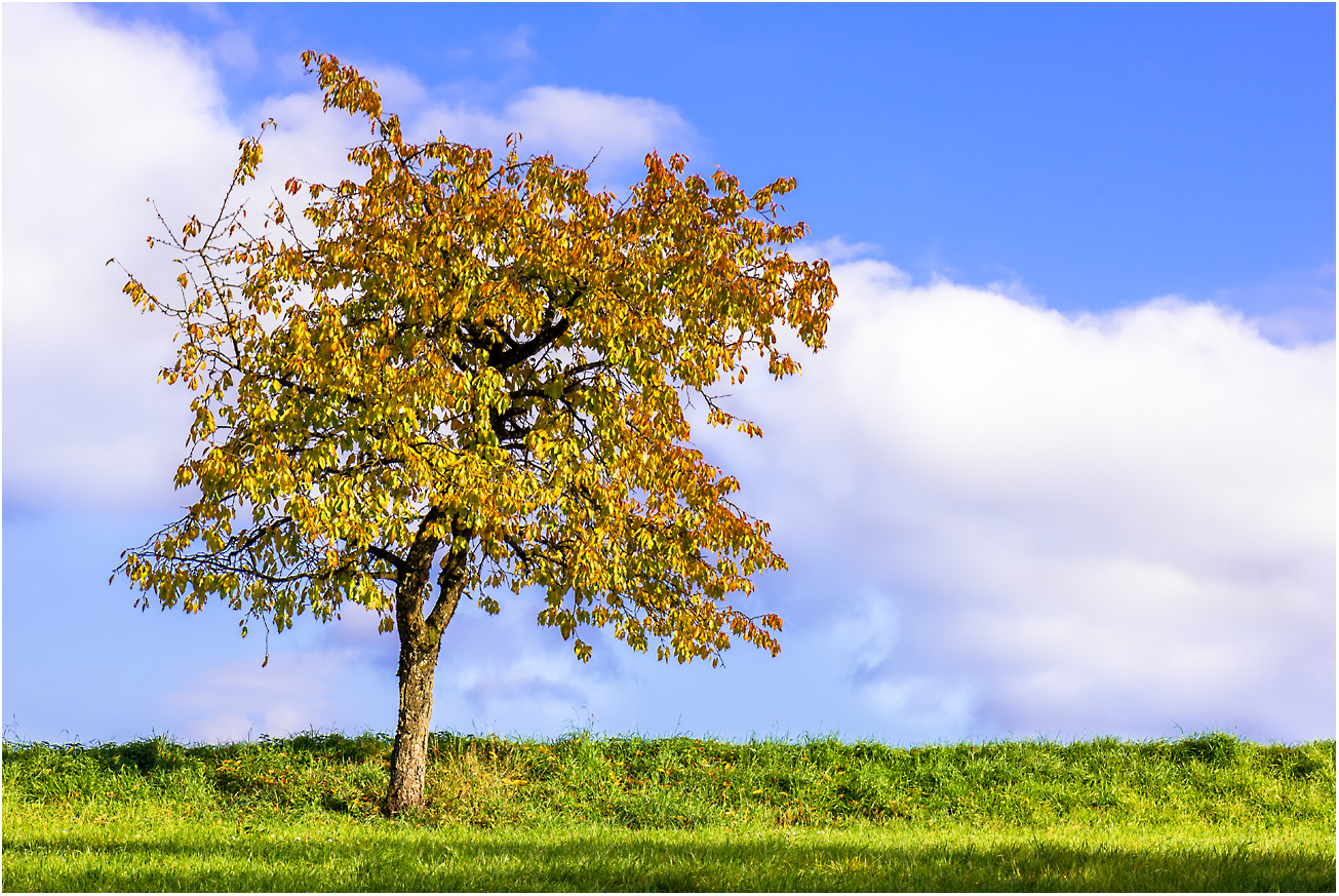 Im Herbstkleid