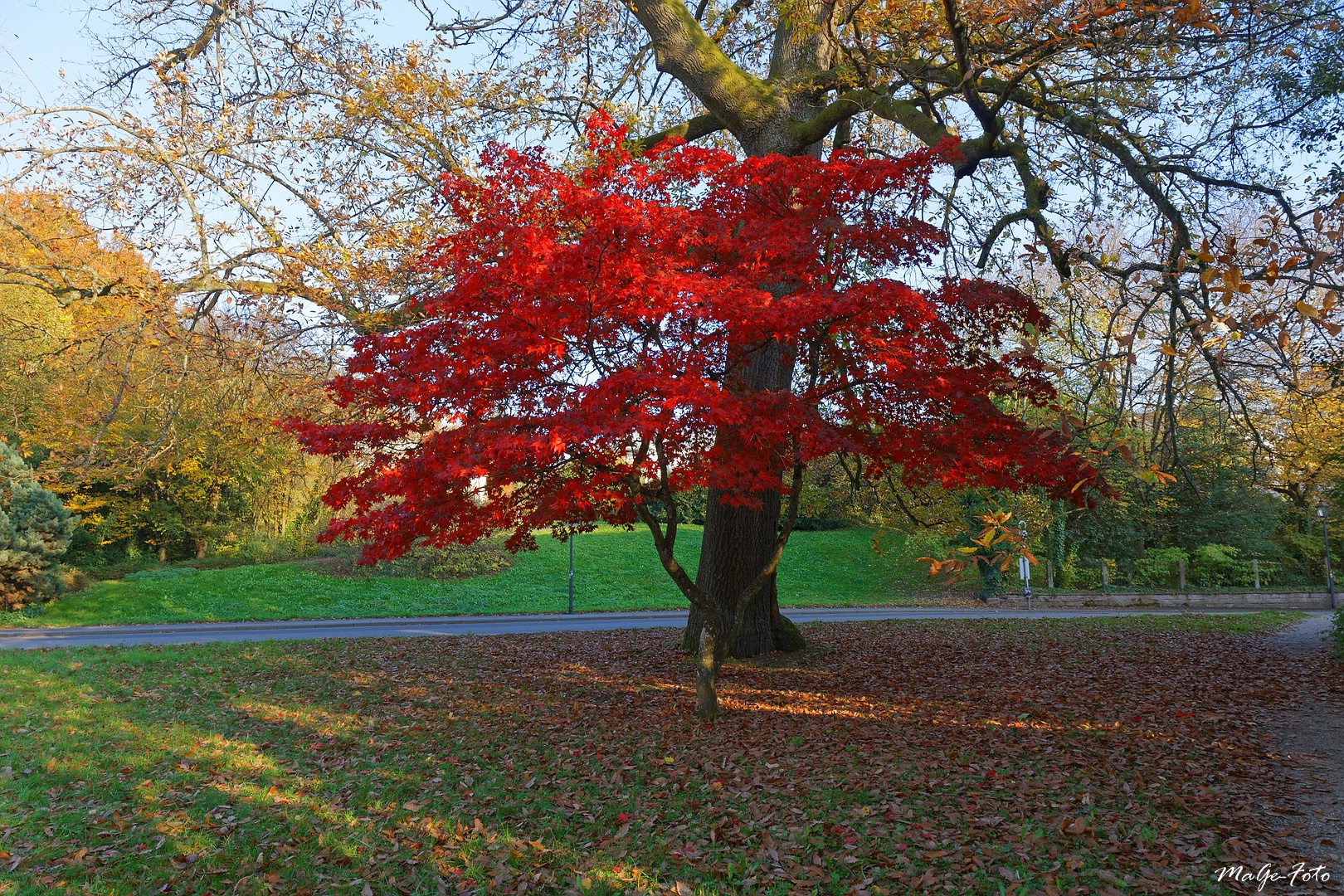 Im Herbstkleid