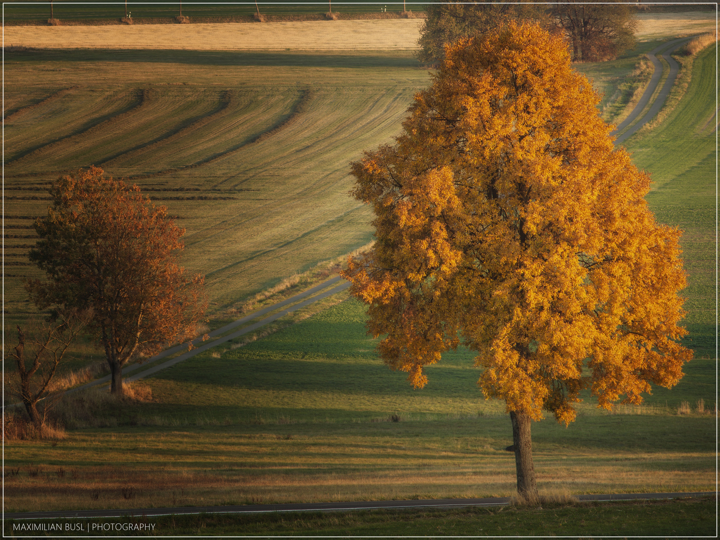 Im Herbstkleid