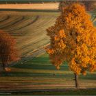 Im Herbstkleid