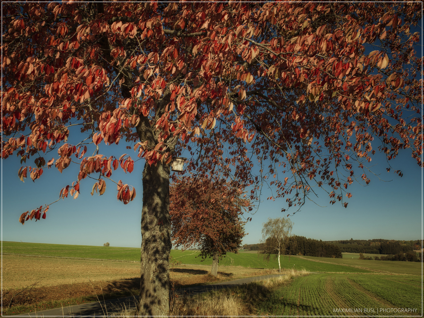 Im Herbstkleid